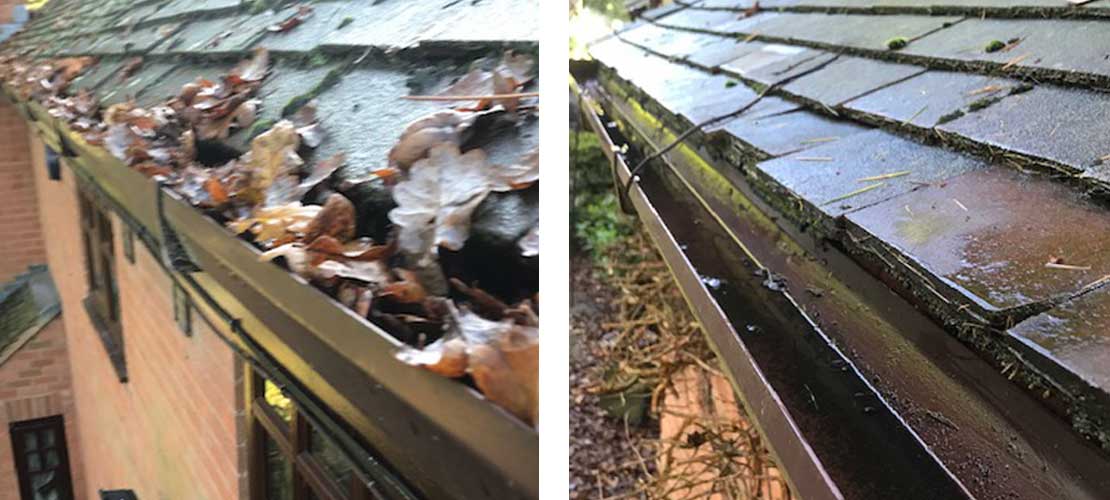 Gutter cleaning, remove moss and debris - Before and After